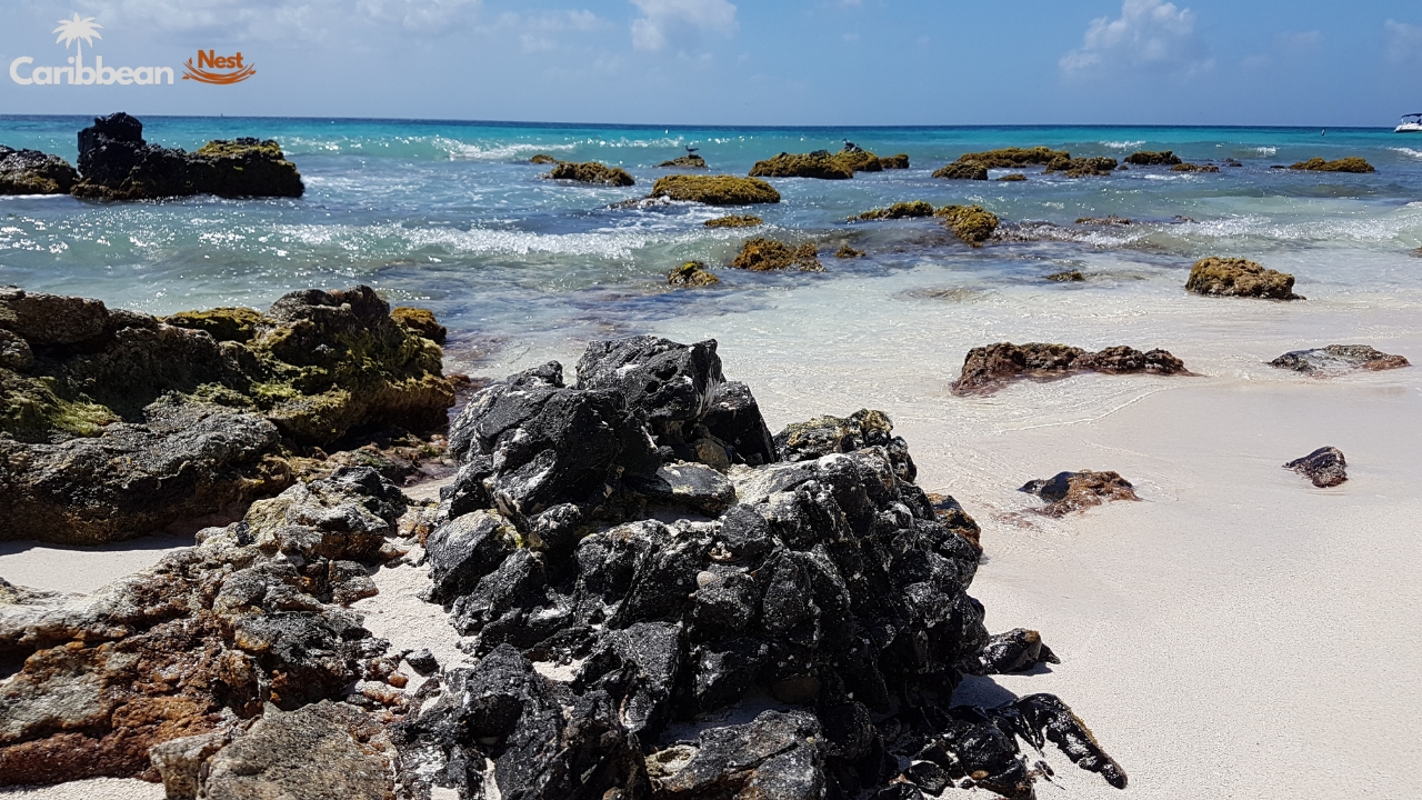 10 Best Beaches in Aruba You Need to Visit in 2025 