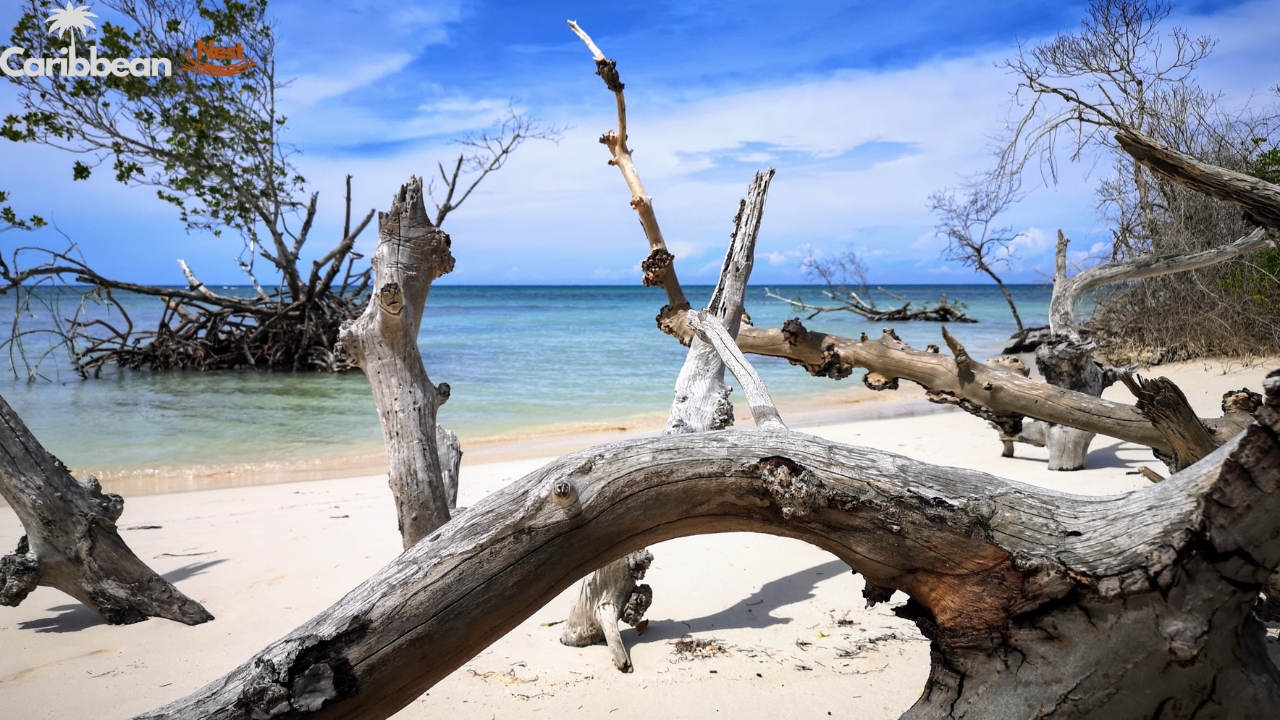 10 Best Beaches in Aruba You Need to Visit in 2025 