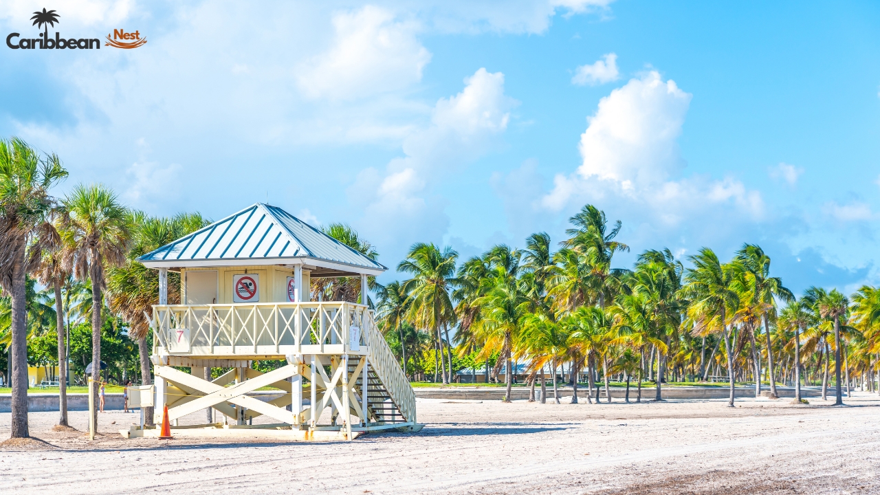 10 Best Beaches in Aruba You Need to Visit in 2025 