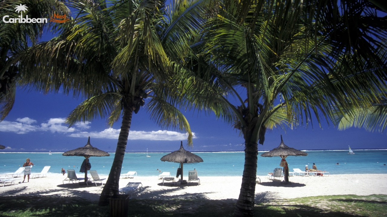 10 Best Beaches in Aruba You Need to Visit in 2025 