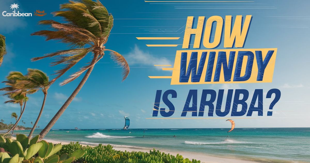 How Windy Is Aruba? Monthly Wind Speeds, Weather Patterns & Travel Tips