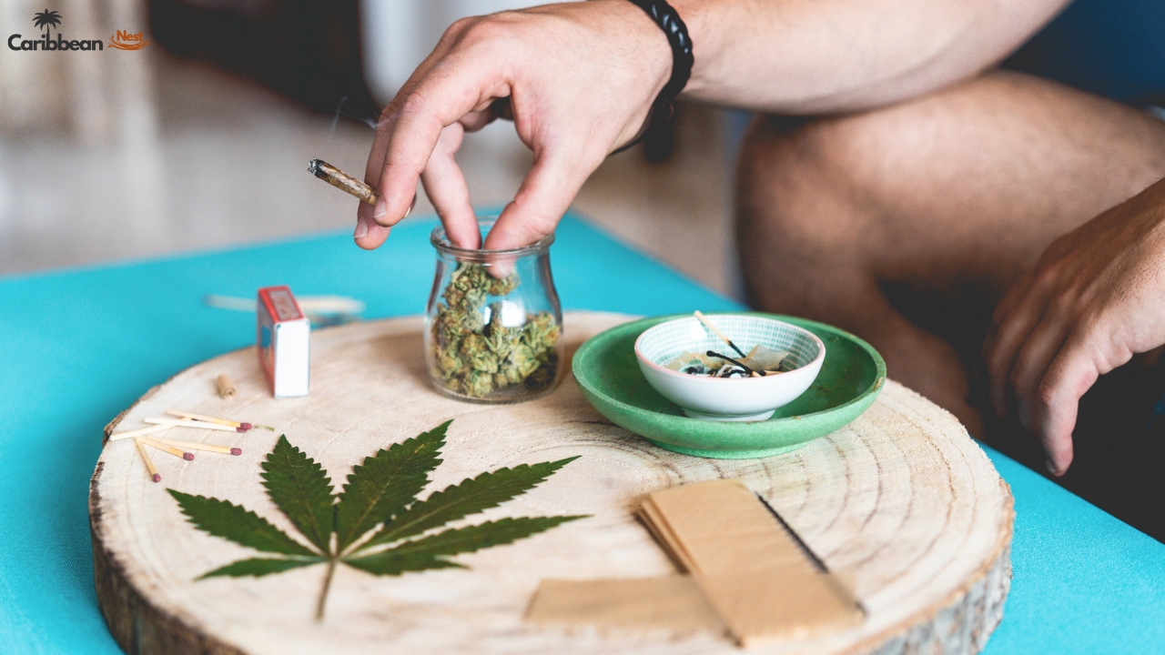 Is Marijuana and Cannabis Legal in Aruba 2025?