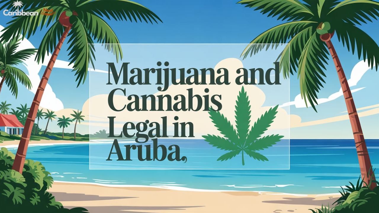 Is Marijuana and Cannabis Legal in Aruba 2026?