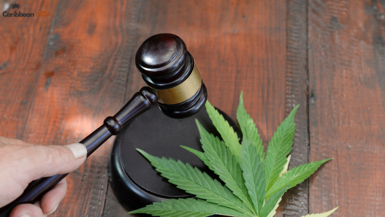 Where Weed Is Legal or Decriminalized?