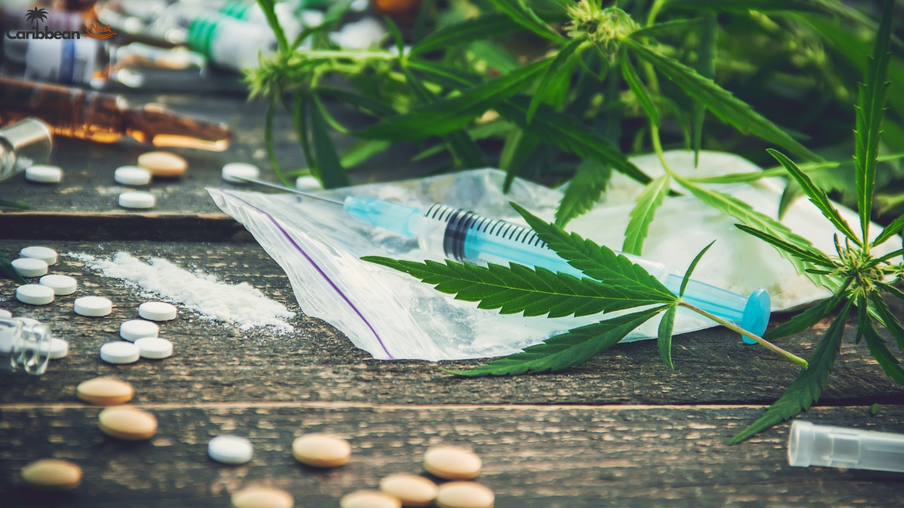 Is Marijuana and Cannabis Legal in Aruba 2025?