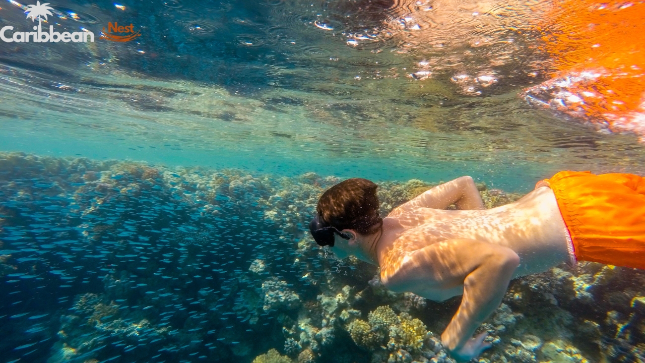 the-best-snorkeling-in-aruba-2025