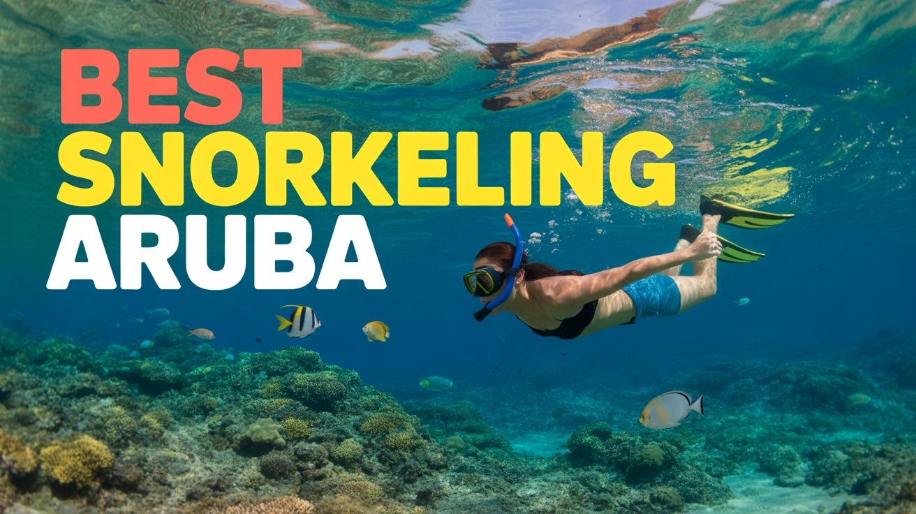 Aruba Snorkeling Guide 2026 — Best Spots, Tours & Tips