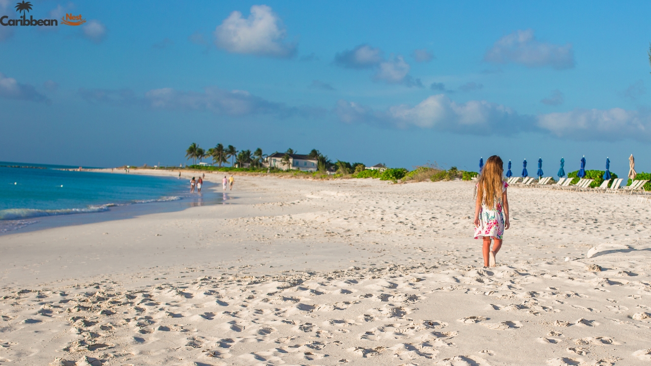 1-mangel-halto-beach-–-arubas-hidden-paradise