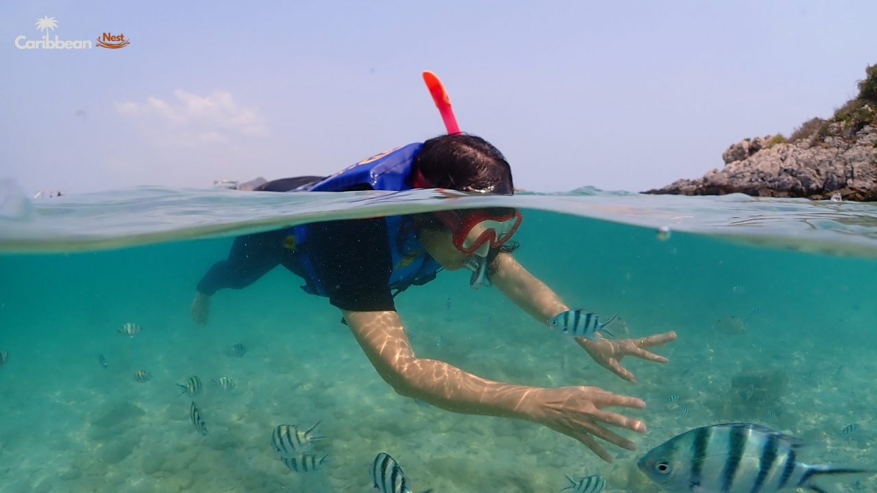 beginner-snorkeling-safety-tips-in-curacao