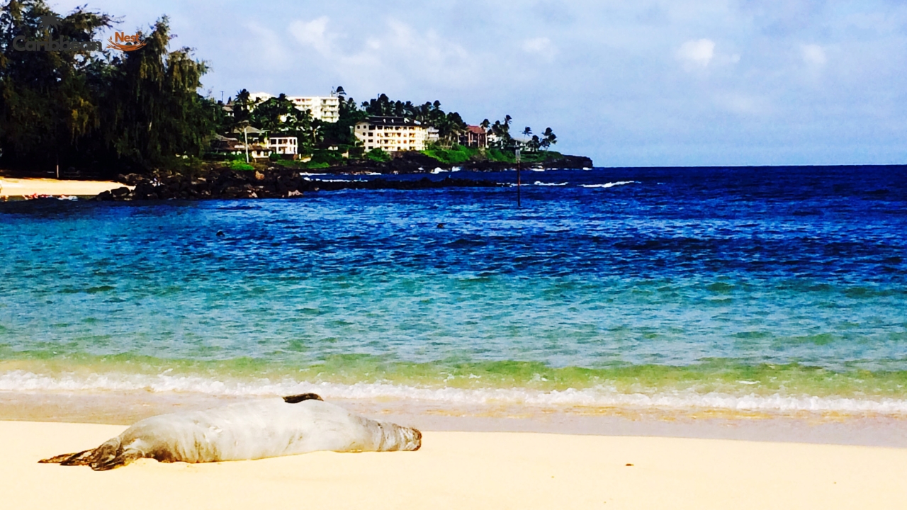 beaches-and-water-clarity-compared