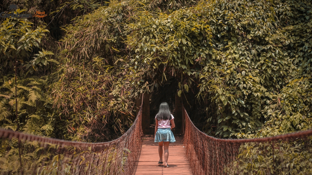 visit-the-natural-bridge-of-aruba