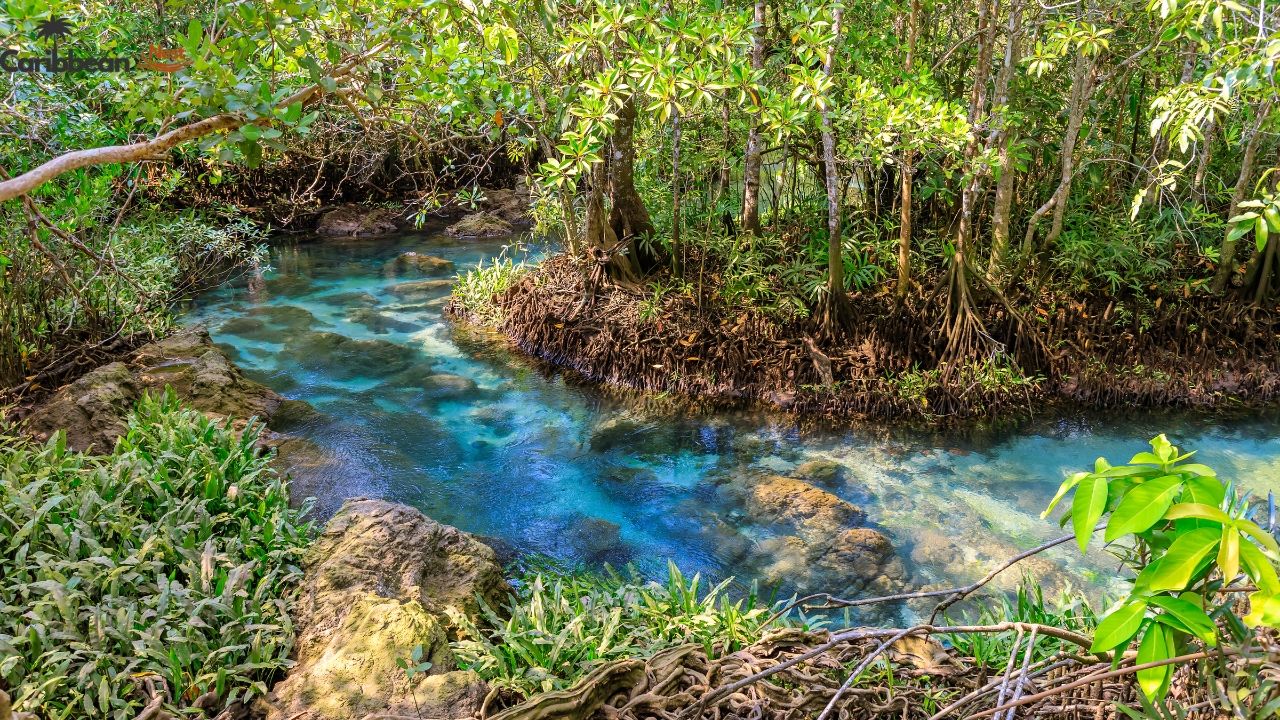 swim-inside-arubas-natural-pool-conchi