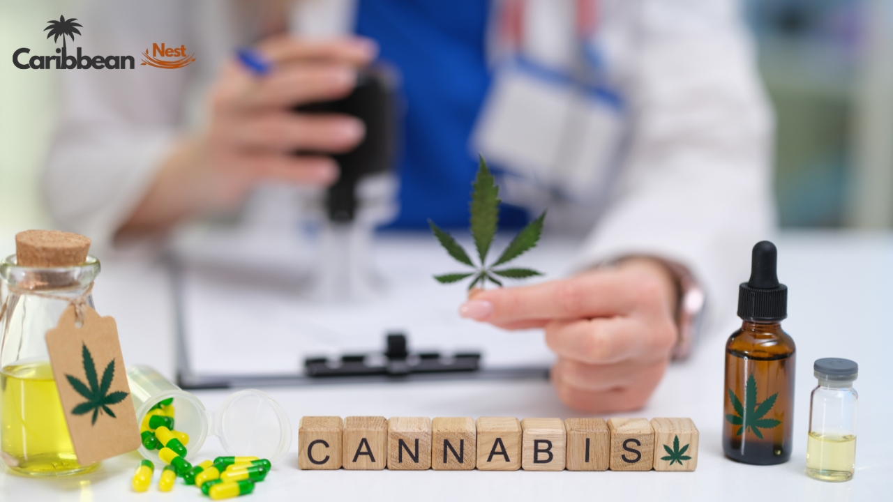 Medical Marijuana Rules in Caribbean Islands