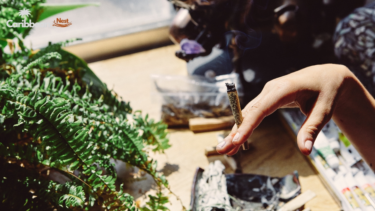 is-marijuana-legal-for-tourists