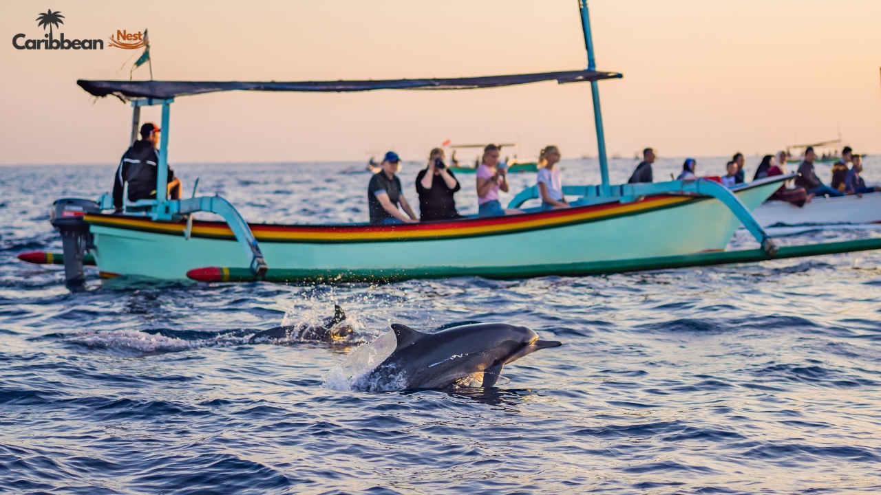 fishing-tournaments-and-regattas