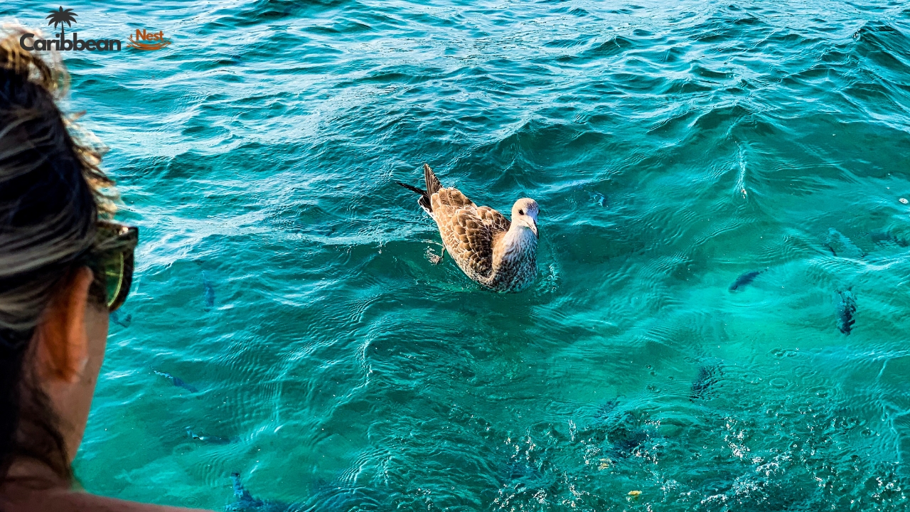 best-months-for-sunny-beaches