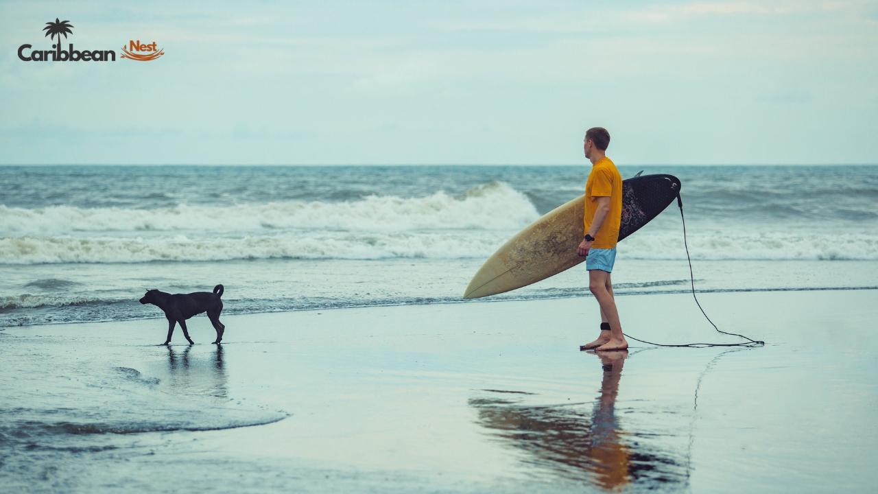 single-kite-surfing-lesson