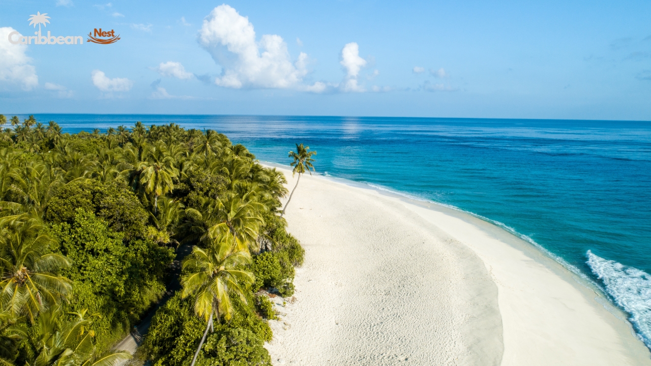 final-picks-top-local-beaches-worth-visiting